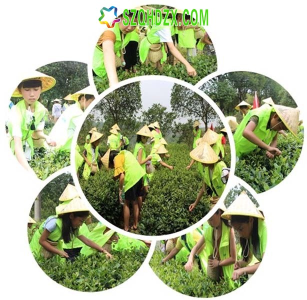 http://www.szqhdzx.com/attachment/article/2018/0704/212915_19214450.jpg
